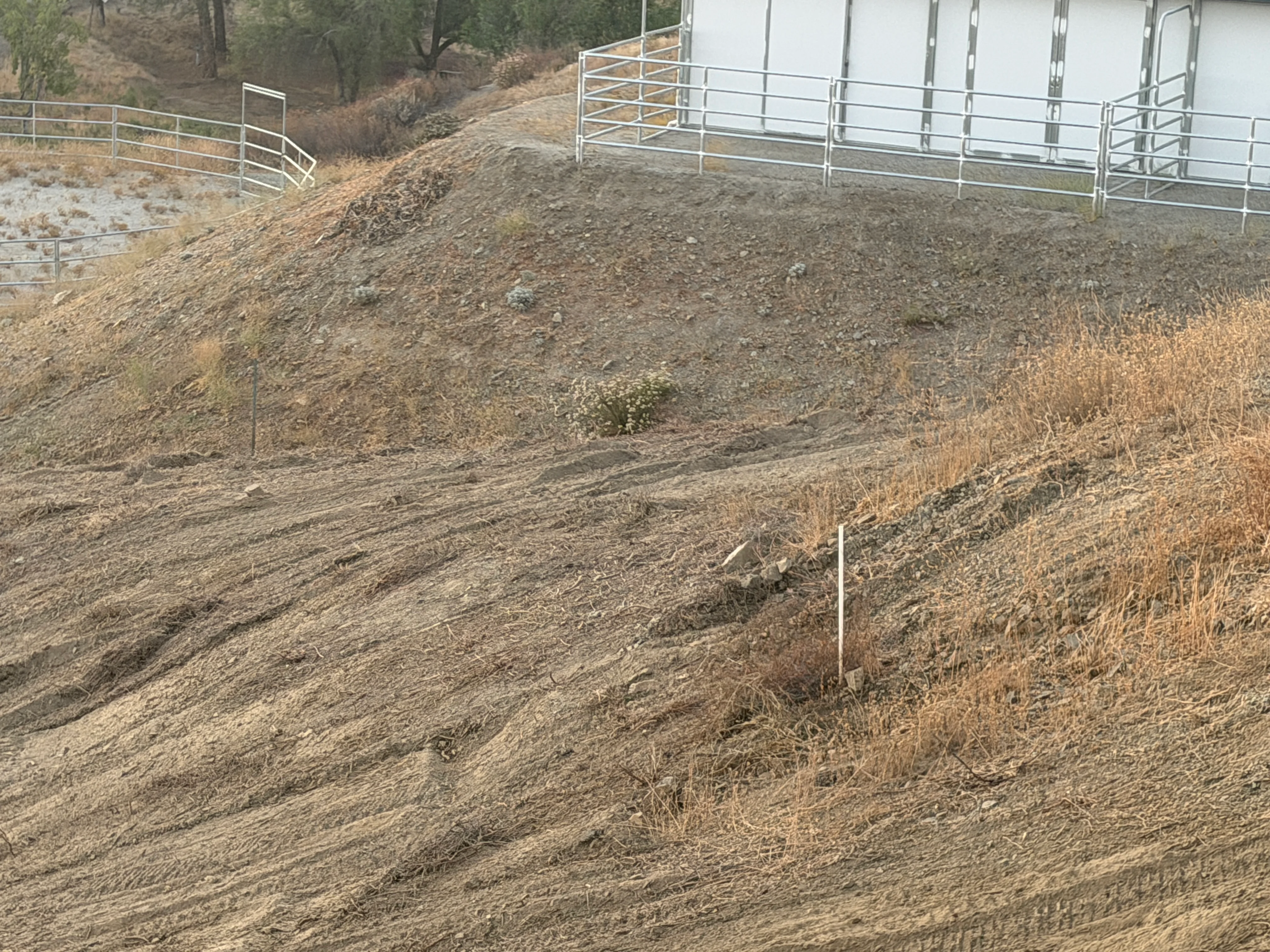 Cleared hillside with graded earth, metal fencing, and white structure in background