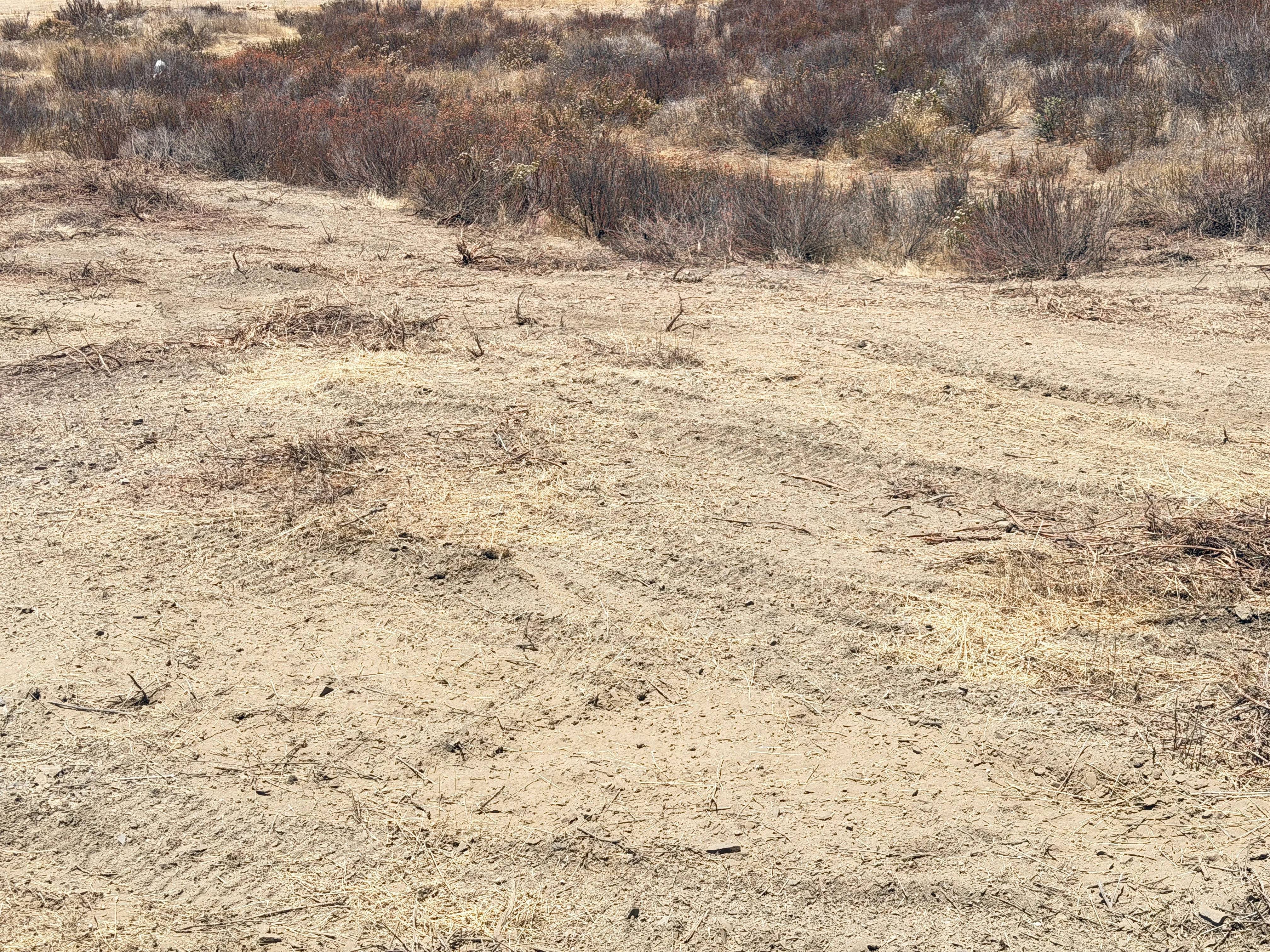 Cleared desert lot with exposed soil and removed brush piles in background