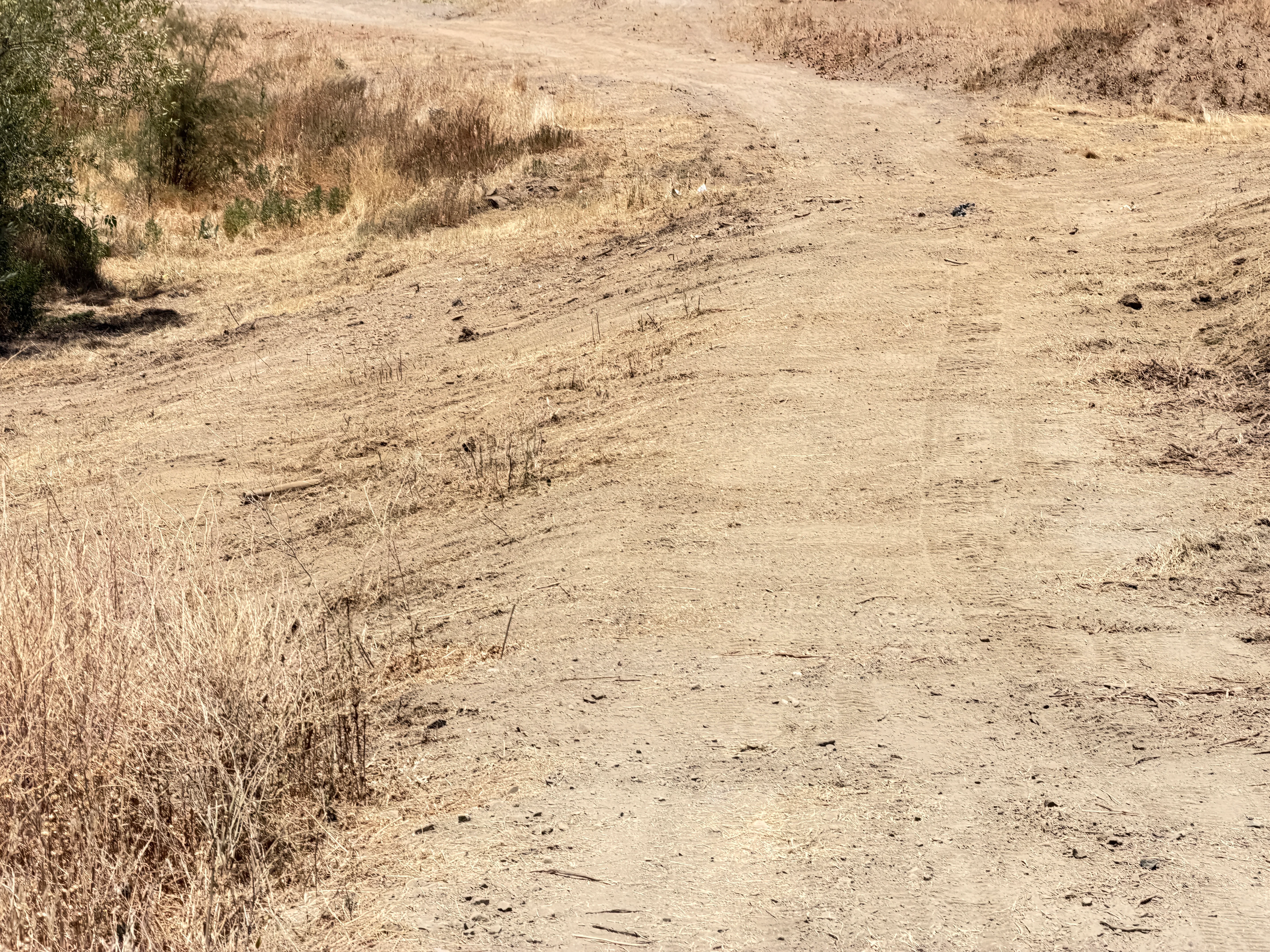 Cleared hillside with graded dirt and removed brush vegetation on sloped terrain